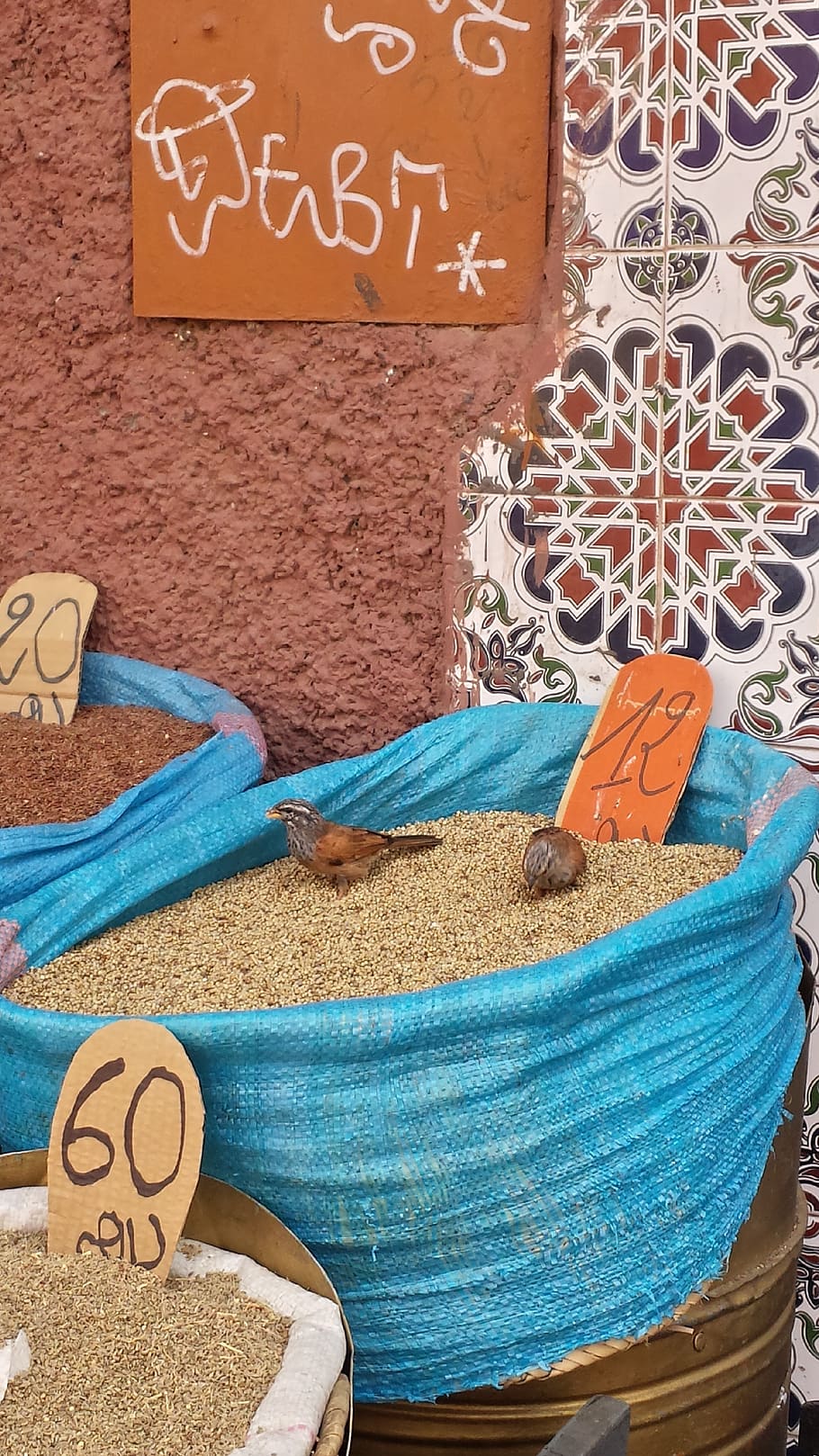 souk, seed, bird, text, communication, market, for sale, no people HD wallpaper