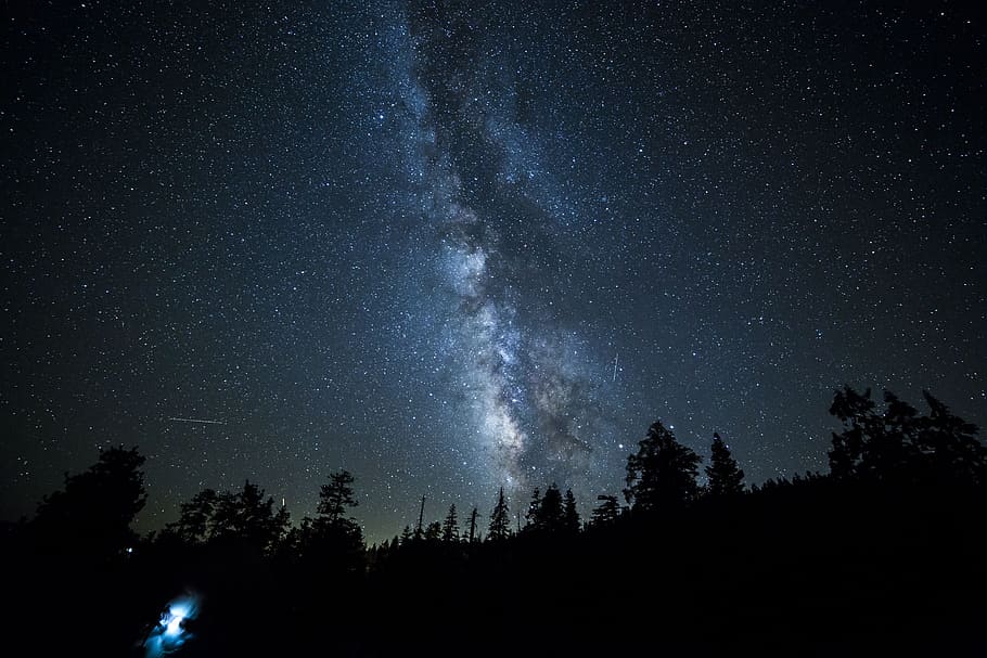 Photography of Silhouette of three under starry sky during nighttime, silhouette of trees during night HD wallpaper