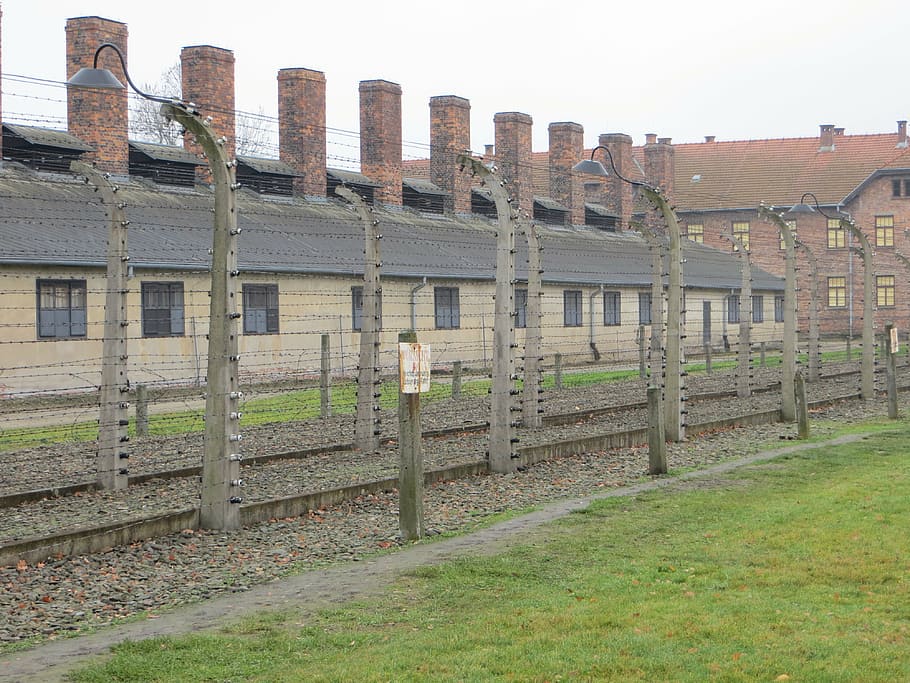 auschwitz, camp, poland, concentration, birkenau, memorial HD wallpaper