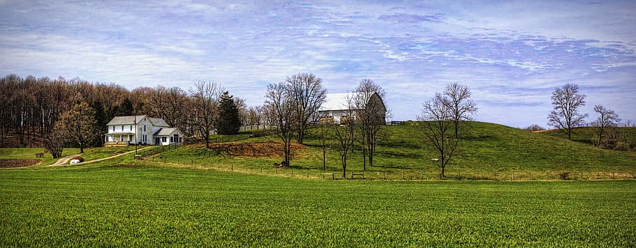 landscape photography of grass covered hill with trees and house during daytime HD wallpaper