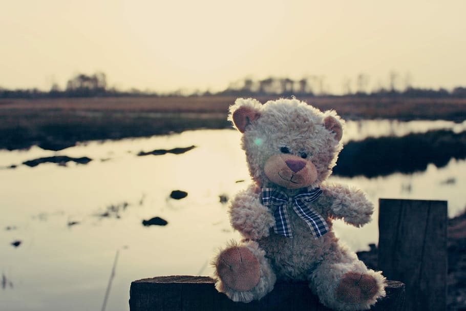 brown bear plush toy on black surface, Teddy Bear, Soft Toy HD wallpaper