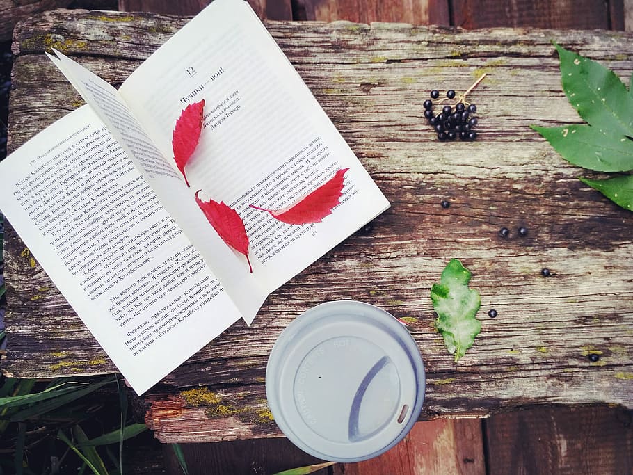 flat lay photography of white book beside gray cup, leaf, wood HD wallpaper