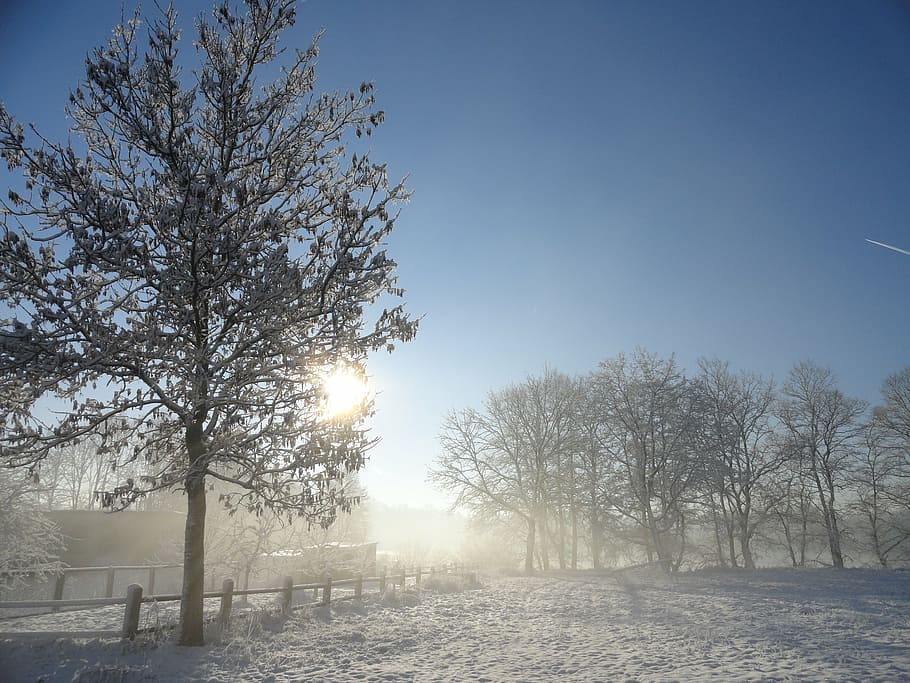 winter, snow, light, landscape, sun, sky, blue, white, tree HD wallpaper