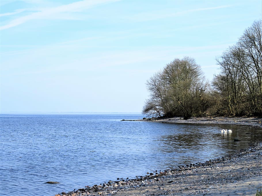 sea, lake, danish baltic sea coast, little bay, stony underground, HD wallpaper