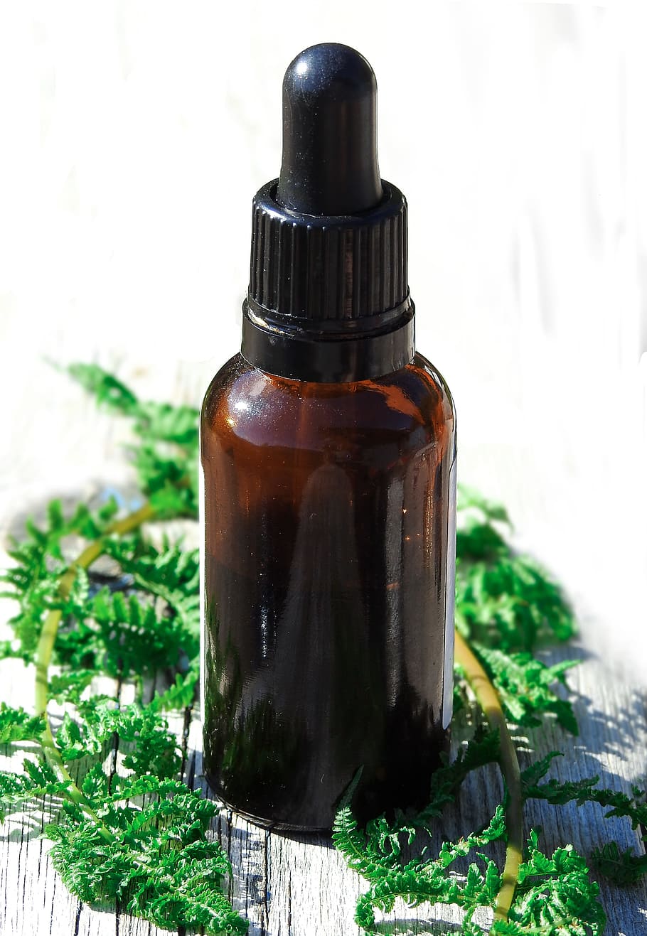 brown and black labeled bottle with green leaves, essential oils