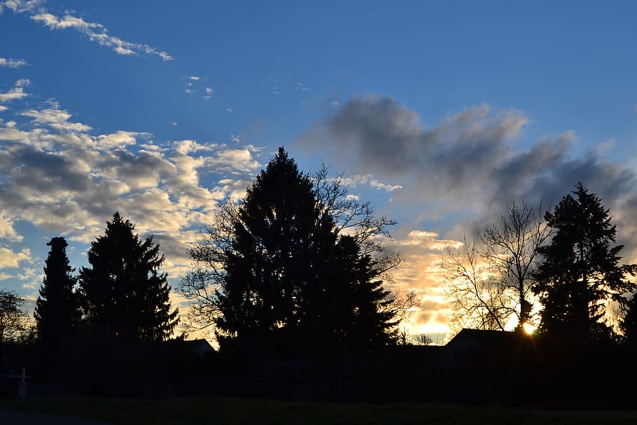 sky, blue, clouds, trees, grey, orange, evening sky, plant HD wallpaper