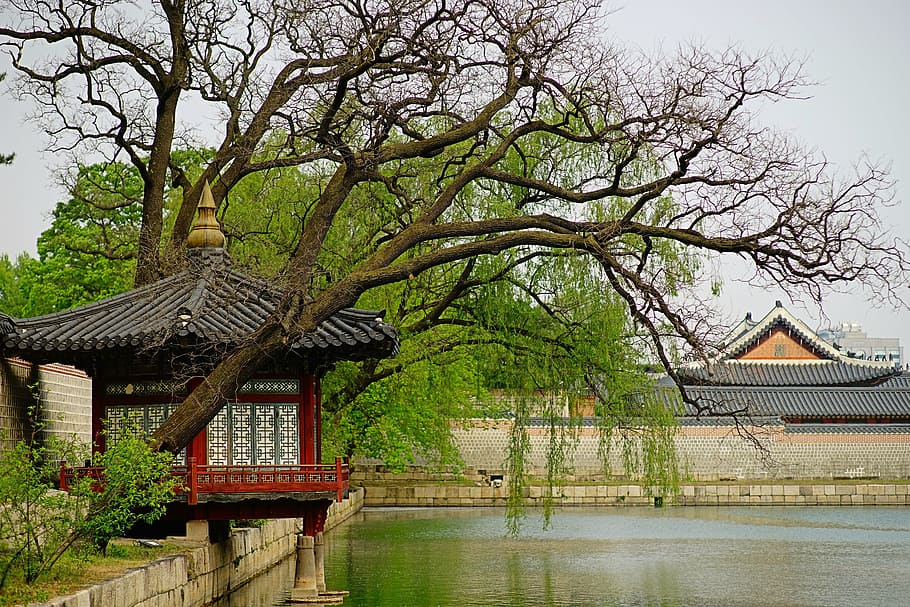 red and black pagoda beside body of water, Gyeongbok Palace, Nature, HD wallpaper