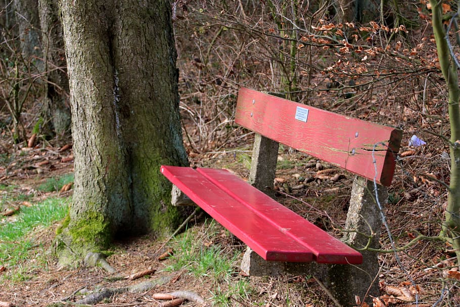 bank, tree, rest, silent, break, autumn, seat, sit, forest HD wallpaper