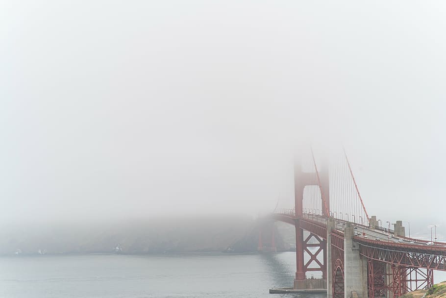 Golden Gate Bridge at daytime, fog, land, plants, grass, river HD wallpaper
