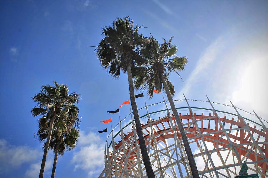 white and orange roller coaster at daytime, four, green, palm