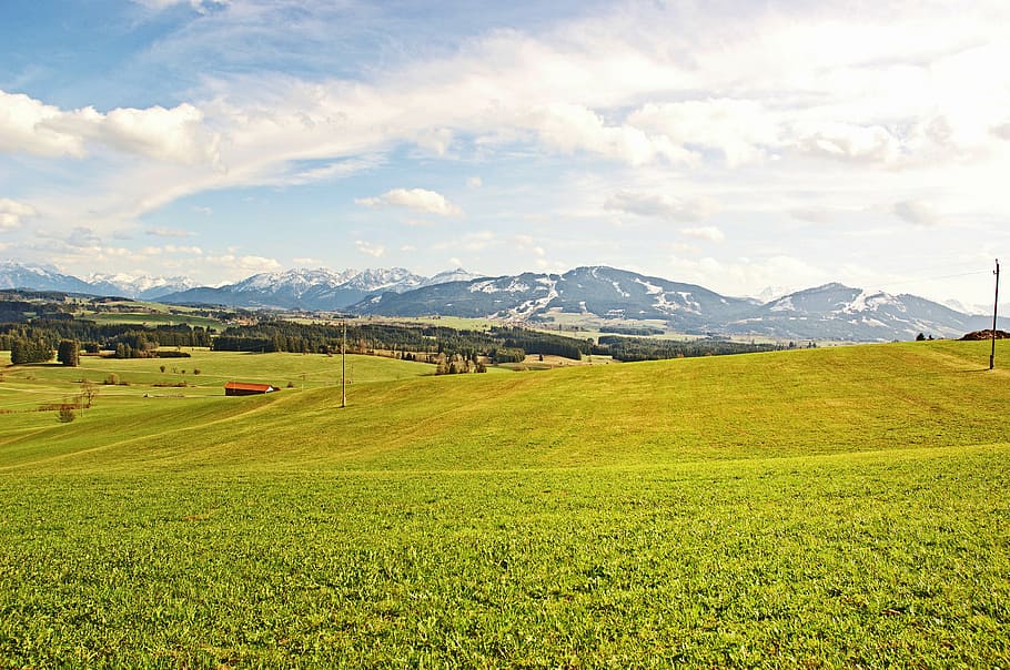 meadow, alpine, mountains, landscape, nature, allgäu, forest HD wallpaper
