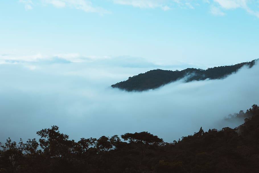 mountains surrounded by fog, white clouds covering mountain, nature HD wallpaper