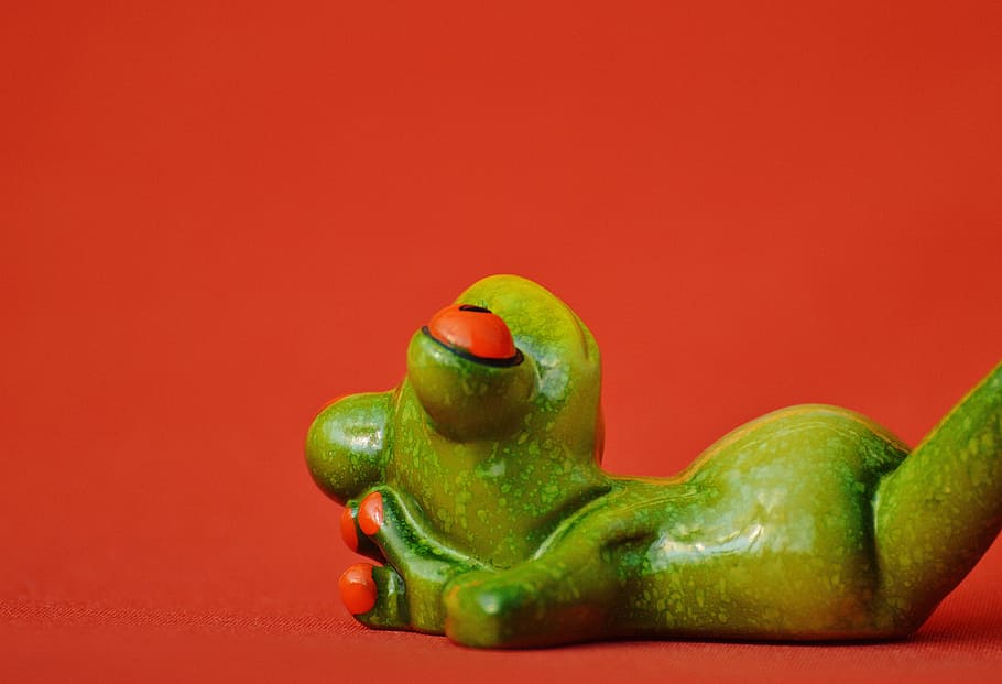 frog, lying, relaxed, cute, rest, figure, funny, relaxation HD wallpaper