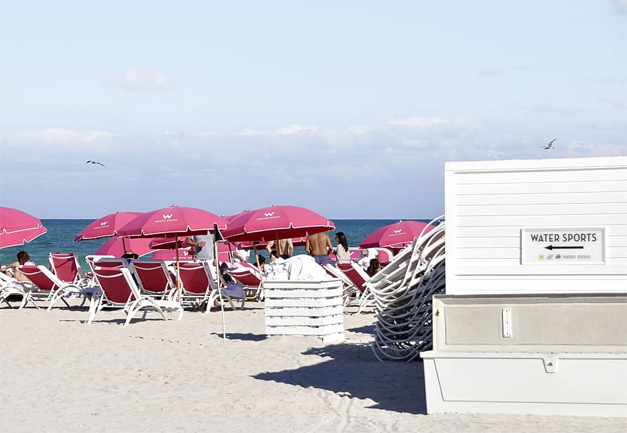 Beach, Holiday, Sea, Sand, Nature, summer, sun, seagull, leisure HD wallpaper