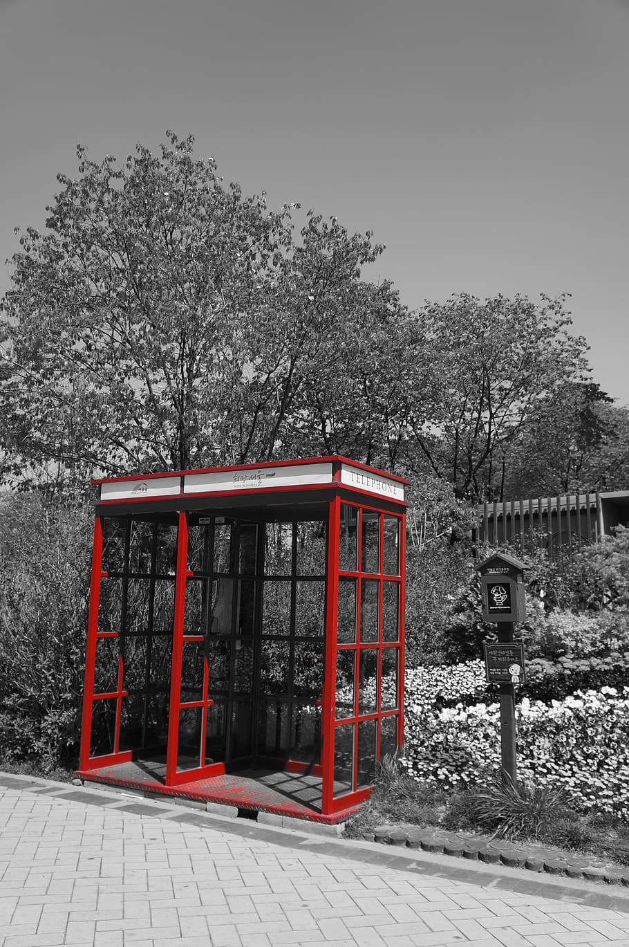 phone, the old feeling, memory, past, tree, plant, red, architecture HD wallpaper
