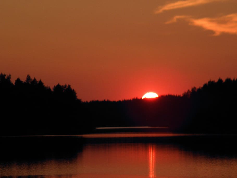 silhouette of trees during sunset, summer, venettely, saimaa HD wallpaper