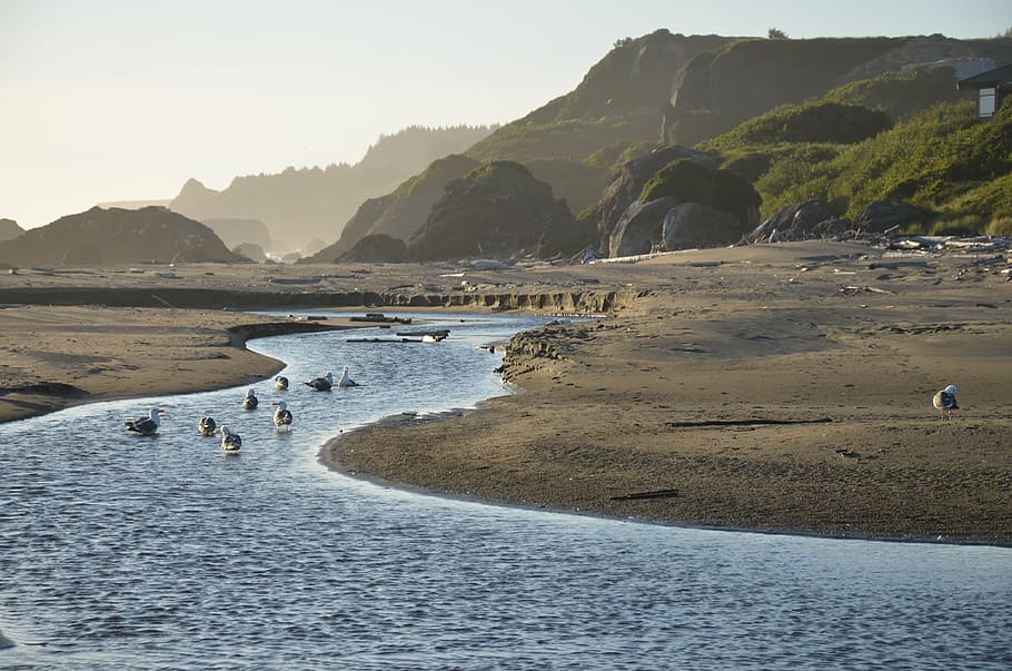 tide, low tide, ebb, ebb tide, stream, ocean, water, pacific HD wallpaper