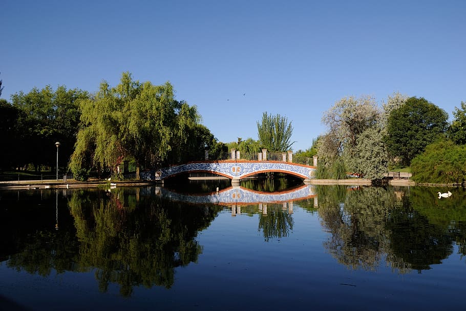 bridge, park, lake, reflection, trees, water, architecture HD wallpaper