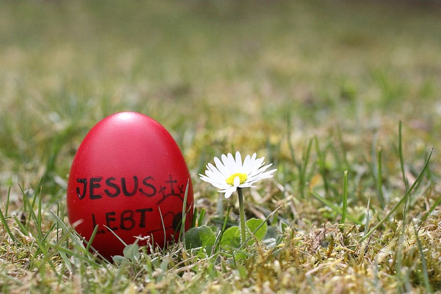 Easter Egg, Jesus, Happy Easter, resurrection, grass, flower HD wallpaper