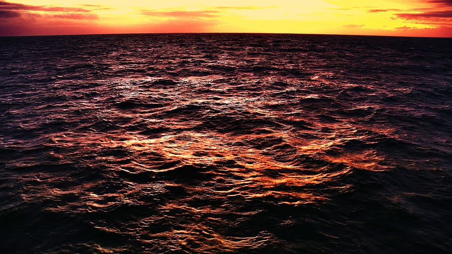 photo of horizon during golden hour, sea, sunset, ocean, sky HD wallpaper