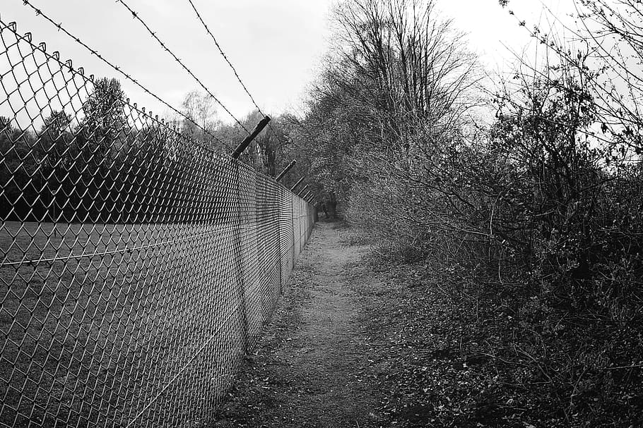 fence, barbed wire, metal, old, risk, demarcation, barrier HD wallpaper