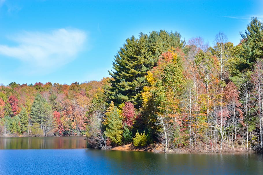 Lake, Autumn, Fall, Fall Foliage, landscape, nature, scene HD wallpaper