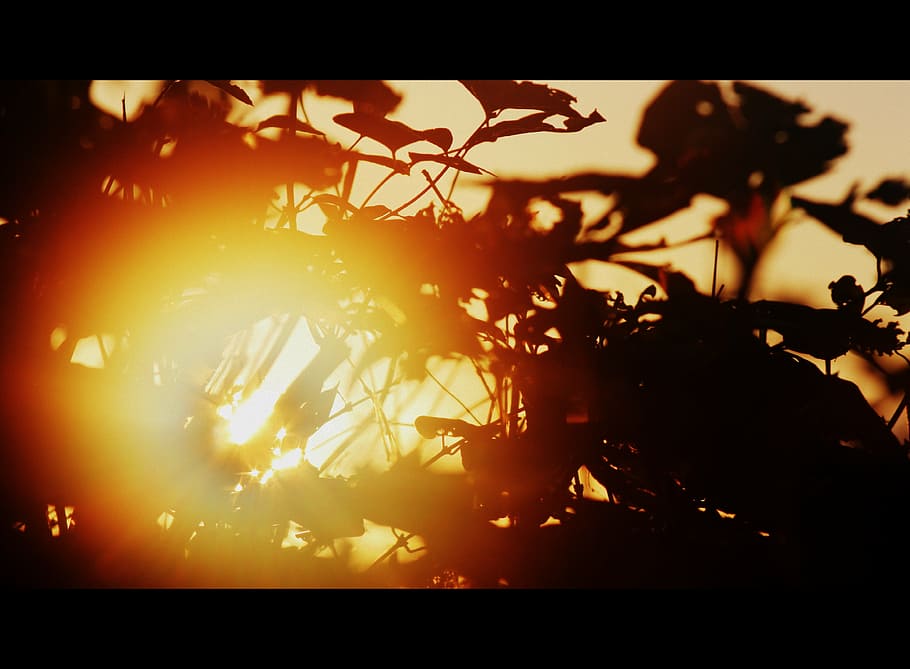 sun, autumn, sunset, sky, shadow, transfer print, auto post production filter HD wallpaper