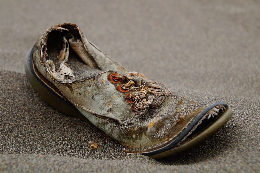old, shoe, sand, animal, animal themes, no people, one animal HD wallpaper