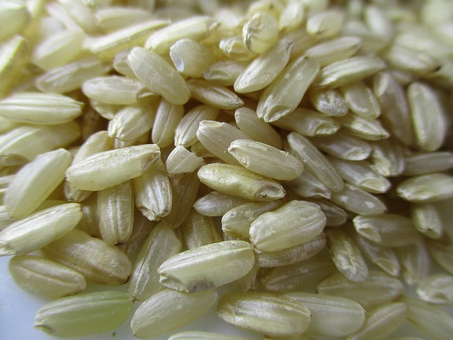 closeup photo of rice grains, risotto, brown rice, carnaroli rice HD wallpaper