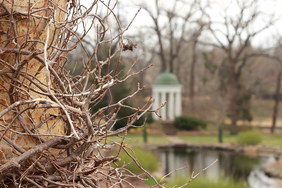 park, tree, landscape, outdoor, blur, water, tulsa, philbrook HD wallpaper