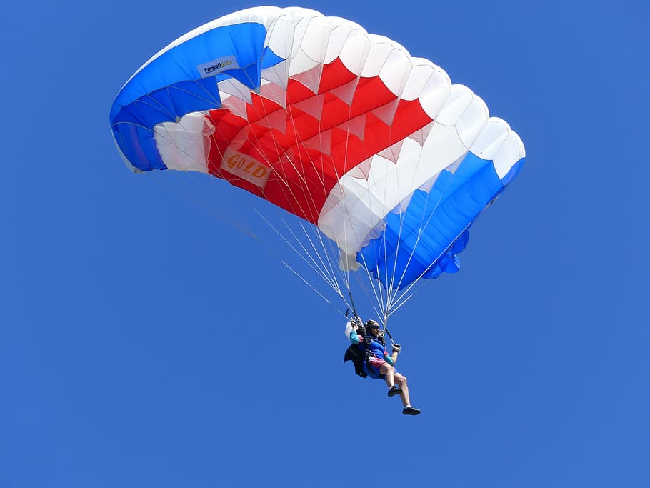 Sport, Skydiving, Competition, Descent, parachute, blue, extreme sports HD wallpaper