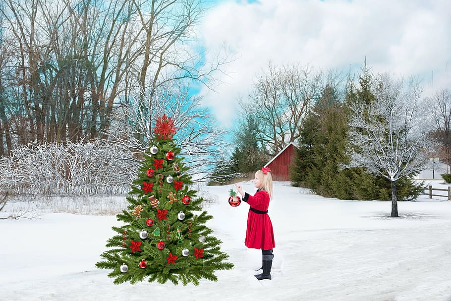 girl in red dress standing in front of Christmas tree, snow HD wallpaper