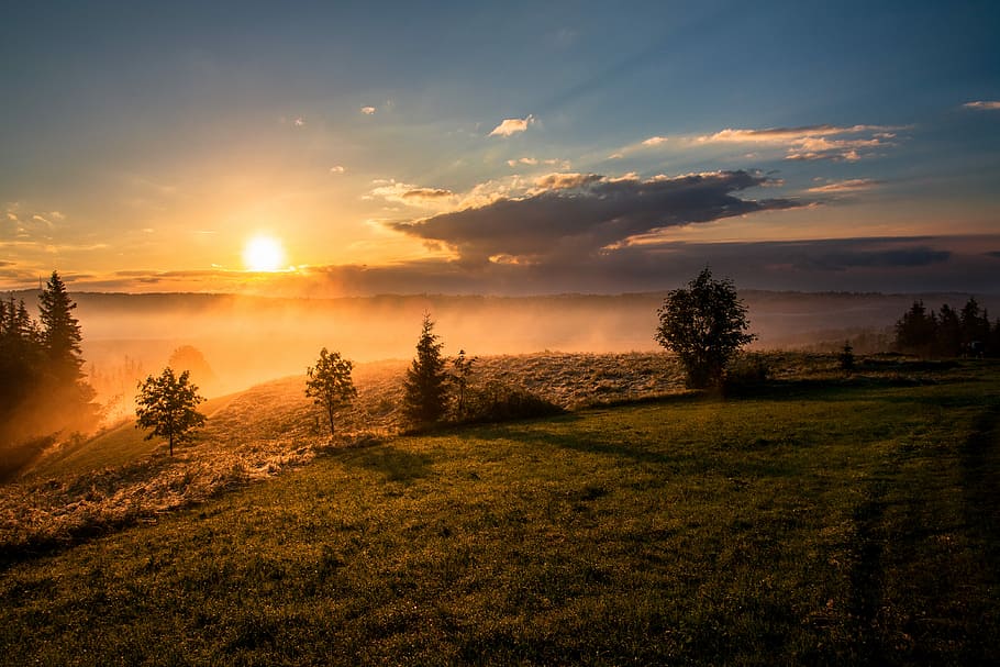 trees under cloudy sky during sunset, landscape photography of green field during sunset HD wallpaper