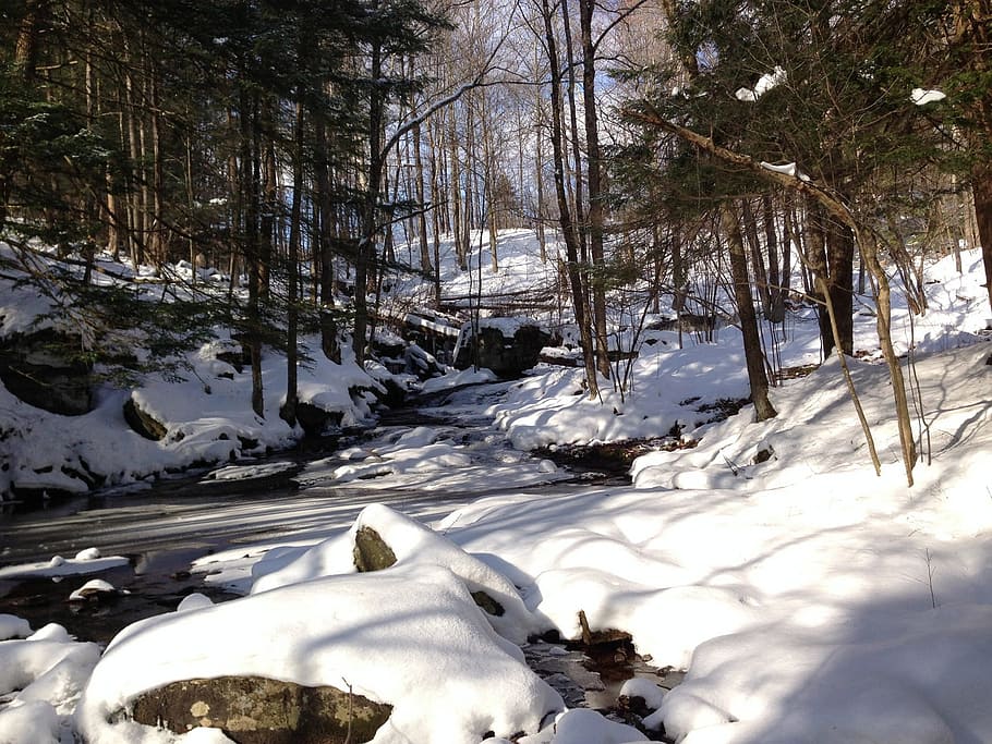 Winter, Snow, Catskills, New, York, creek, cold temperature, HD wallpaper