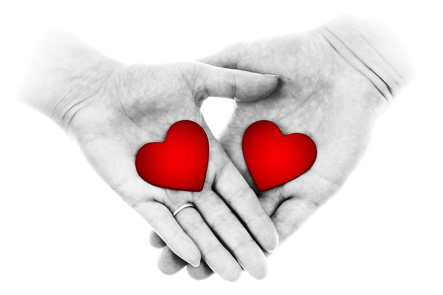 person's hand holding with heart, two hands, care, feeling, female, HD wallpaper