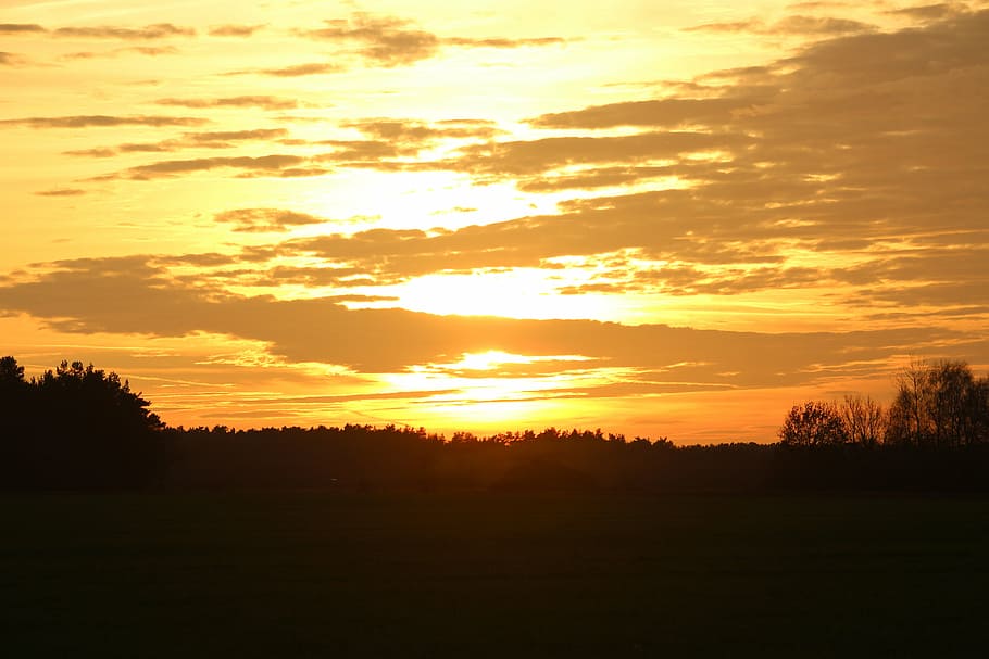 sun, sunset, evening sky, forest, field, abendstimmung, setting sun HD wallpaper