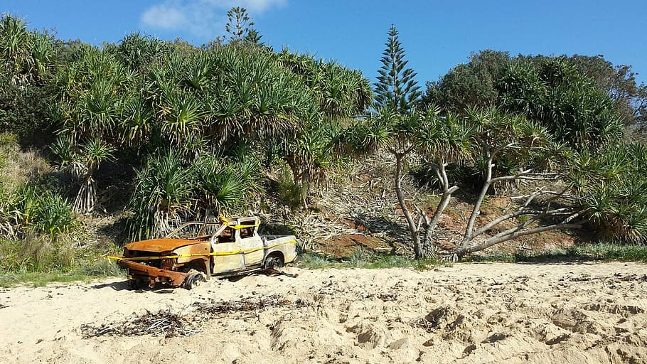 beach, rusty, car, plant, nature, tree, day, sunlight, land HD wallpaper