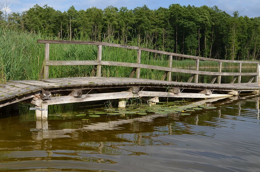 Web, Lake, Waters, Jetty, Dock, bathing place, reflection, outdoors HD wallpaper