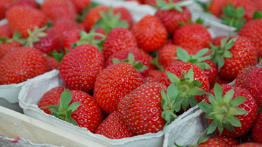red strawberry fruits, strawberries, close, eat, sweet, delicious HD wallpaper