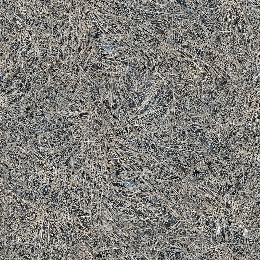 Texture, Seamless, tileable, seamless pattern, dry, grass, dead, HD wallpaper