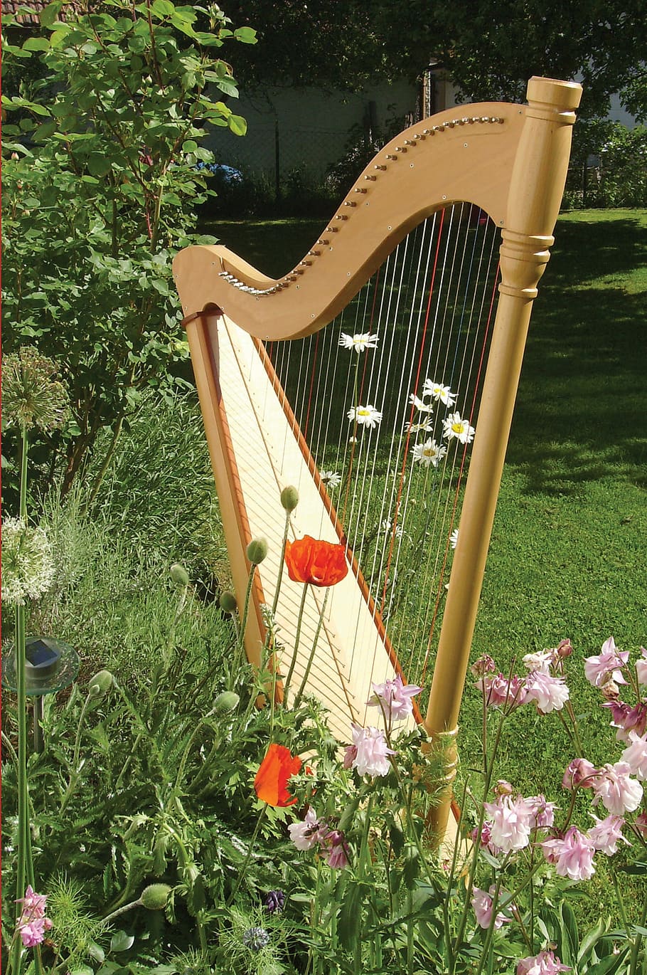 HD wallpaper: brown wooden harp near petaled flowers outdoors, Musical Instrument | Wallpaper Flare