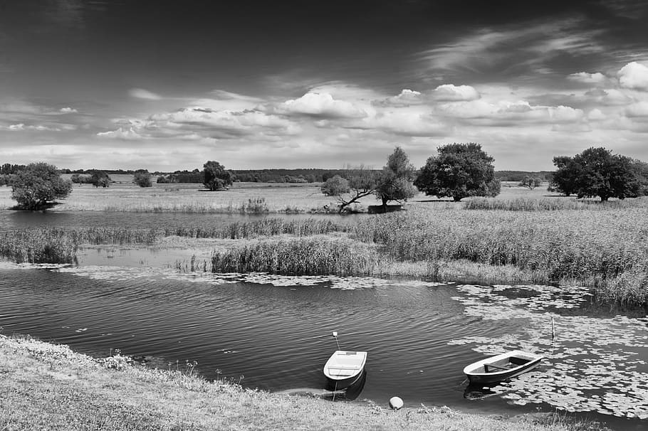 landscape, oderbruch, nature, river, black white, water, cloud - sky HD wallpaper