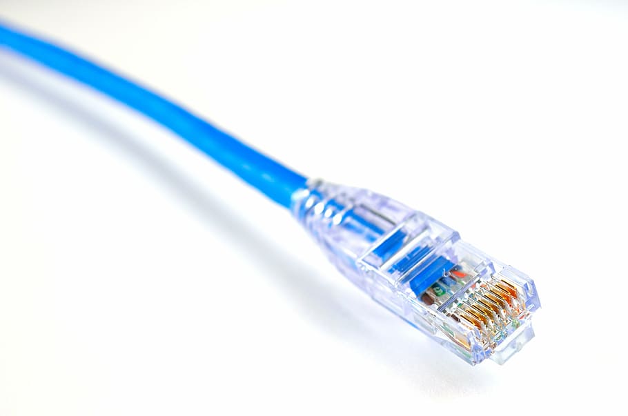 blue RJ 45 cable, ethernet, data, internet, network, computer
