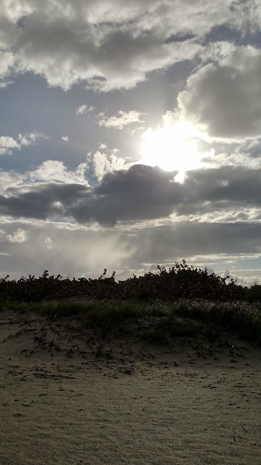 beach, sand, dune, sun, florida, nature, sky, cloud - sky, tranquility HD wallpaper