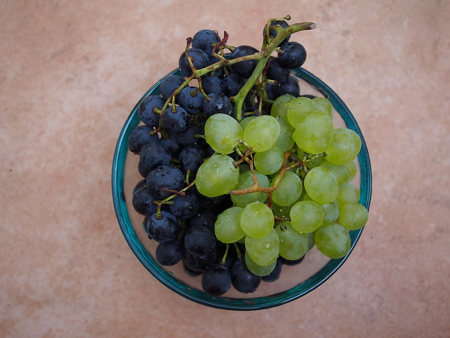 Grapes, Red, Blue, Vines, Fruit, Healthy, vitamins, antioxidants HD wallpaper