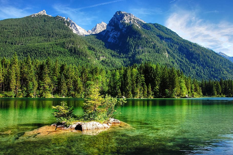 green tree on an island surrounded by body of water, ramsau, hintersee