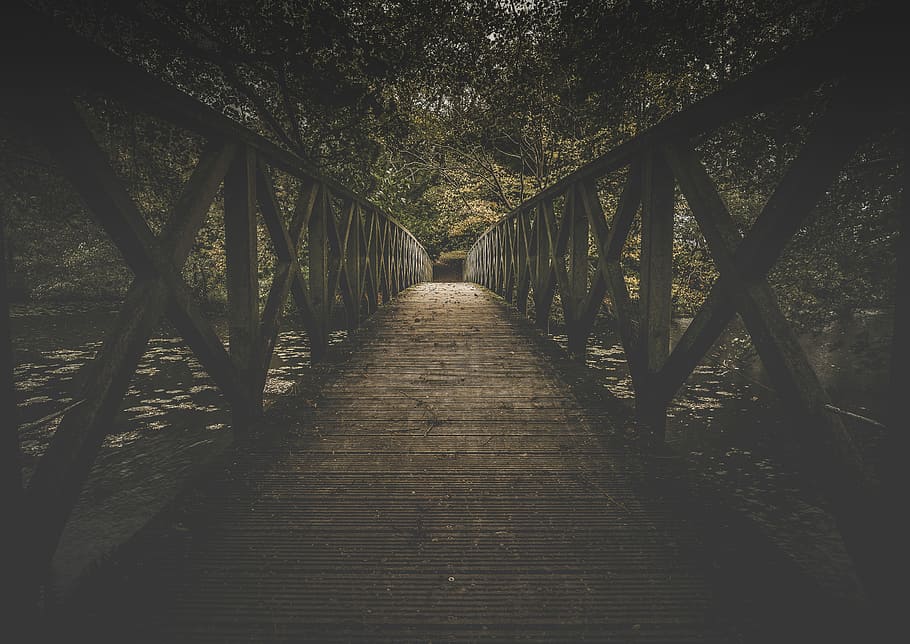 photography of footbridge leading to pathway surrounded by trees HD wallpaper