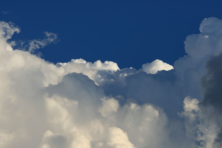 cumulus clouds, weather, large, white, sky, blue, nature, backgrounds HD wallpaper