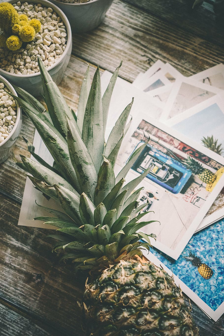 pineapple fruit, desk, wood, table, flat lay, succulents, terrarium, HD wallpaper