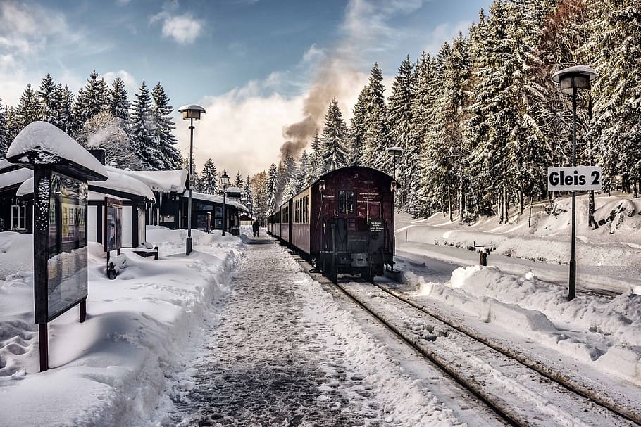 brown train on rail running near pine trees during daytime, snow
